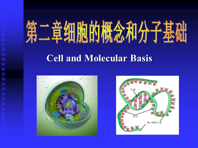 细胞的概念和分子基础.ppt_第1页
