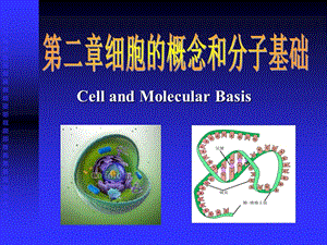 细胞的概念和分子基础.ppt