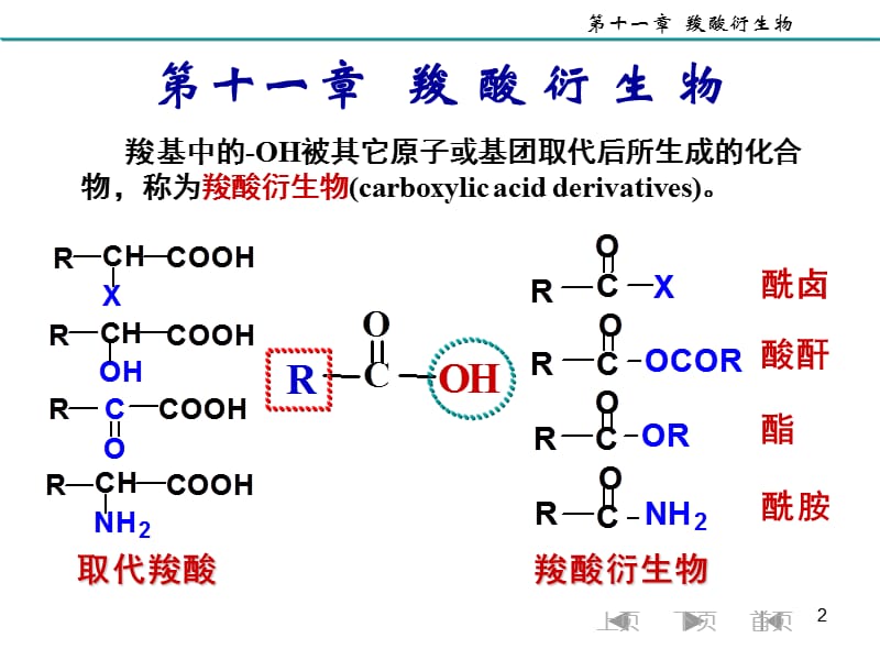 十一 羧酸衍生物.ppt_第2页