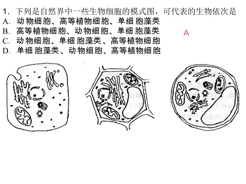 生物图表题-结构图.ppt_第2页