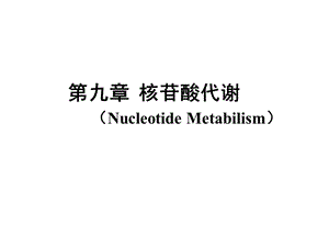 生物化学_核苷酸代谢.ppt