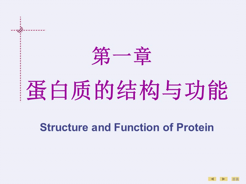 生物化学 第01章 蛋白质的结构与功能 临床5年制 第7版.ppt_第2页