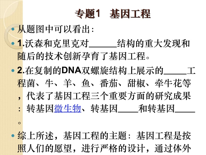 生物：1.1《DNA重组技术的基本工具》课件(新人教版选修3).ppt_第2页