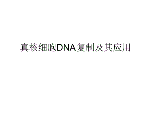 原核细胞DNA复制.ppt
