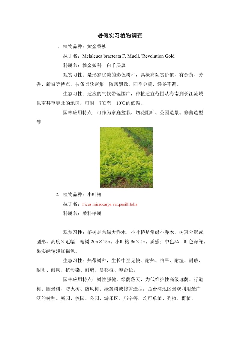 lc园林专业学生实习（调研）报告-珠三角植物.doc_第3页