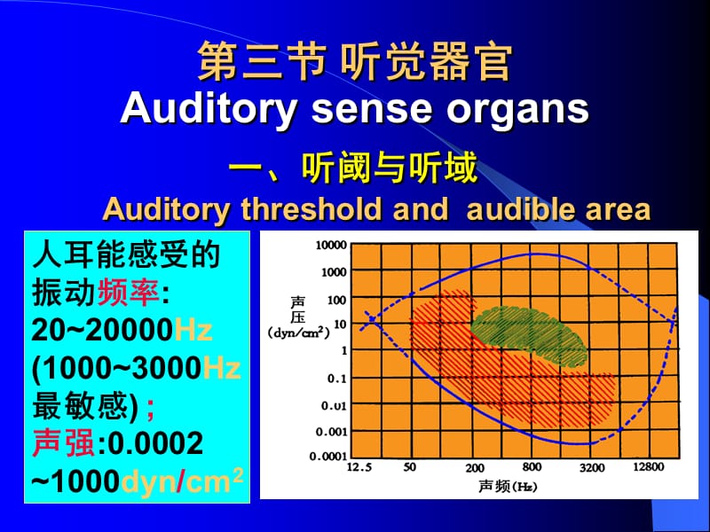 中国医科大学生理学-09-3听觉器官.ppt_第1页