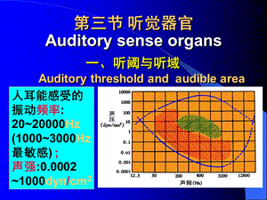 中国医科大学生理学-09-3听觉器官.ppt