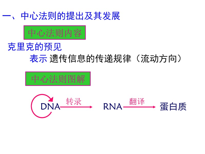生物：4.2《基因对性状的控制》课件(新人教版必修2).ppt_第3页
