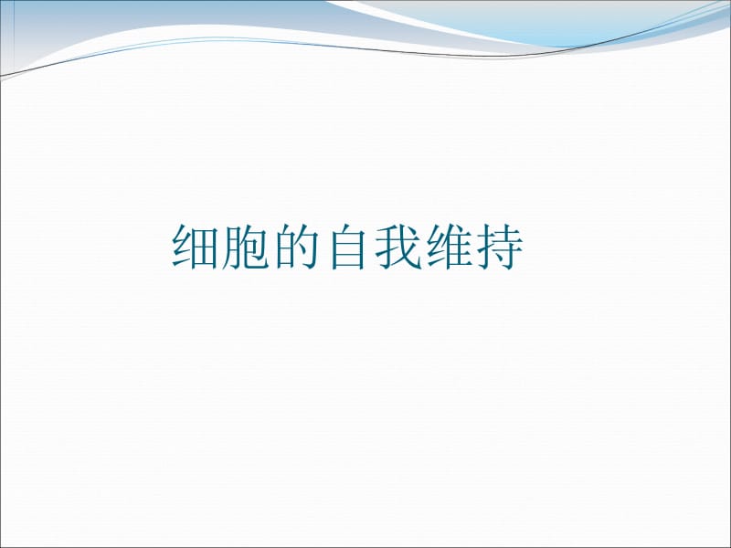 教学课件-细胞的自我维持.ppt_第2页