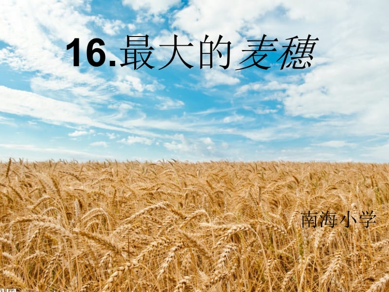 最大的麦穗PPT课件90（陈月）.ppt_第1页