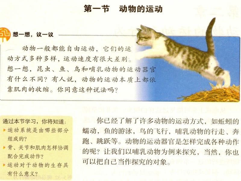 新教材-动物的行为-佛山谢永红.ppt_第1页