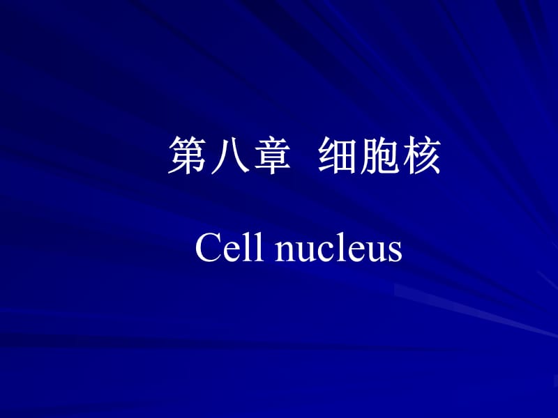 细胞核.ppt_第1页