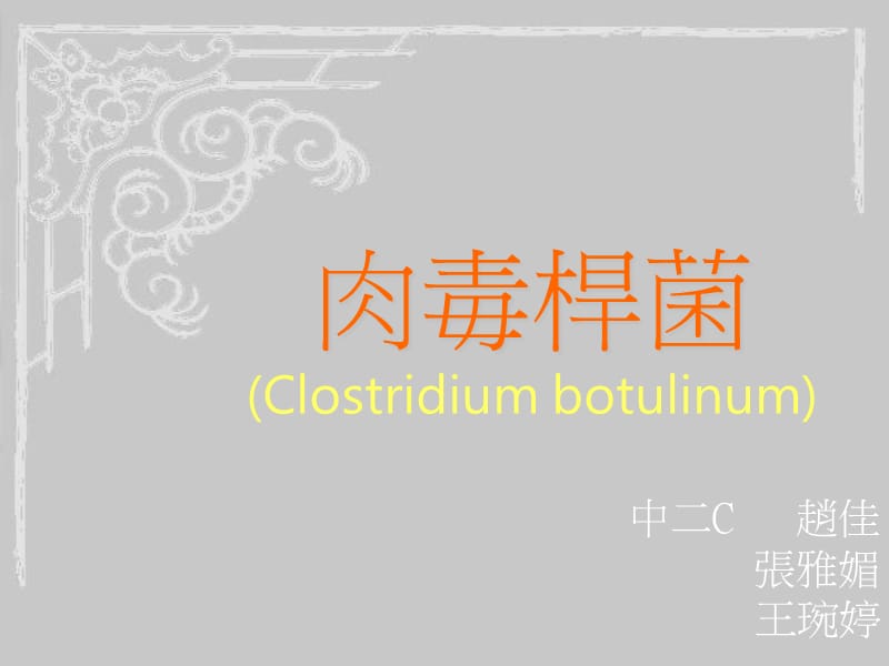 肉毒杆菌Clostridiumbotulinum课件.ppt_第1页