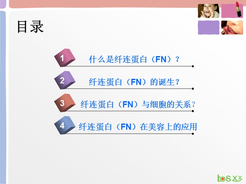 纤连蛋白FN与美容.ppt_第2页