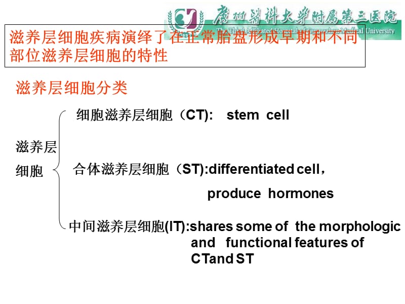 滋养层细胞肿瘤和.ppt_第2页