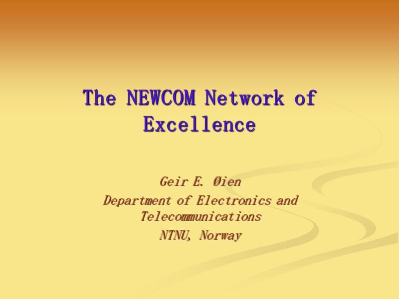TheNEWCOMNetworkofExcellence.ppt.ppt_第1页