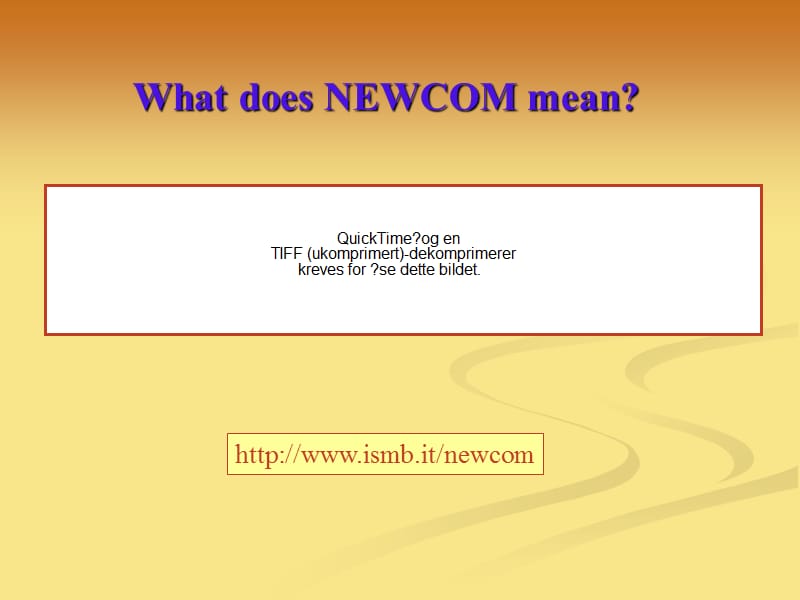 TheNEWCOMNetworkofExcellence.ppt.ppt_第3页