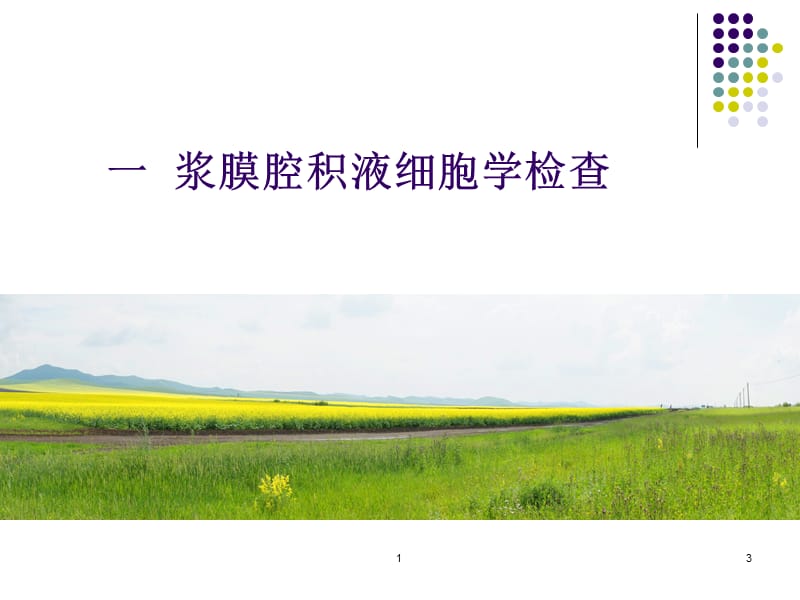 胸腹水细胞学检验[1].ppt_第3页