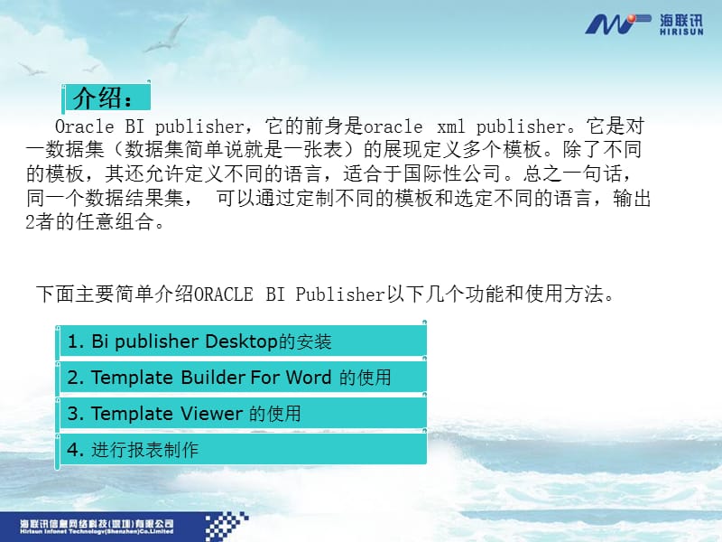 bipublisher文档.ppt_第2页