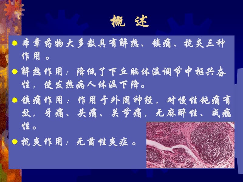 药物化学课件 第四章 非甾体抗炎药.ppt_第2页