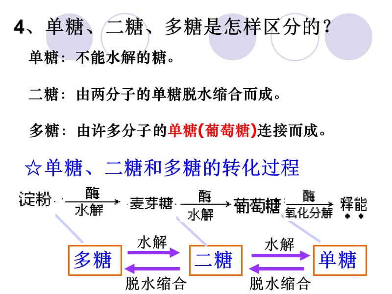 lhq细胞中的糖类和脂质.ppt_第3页