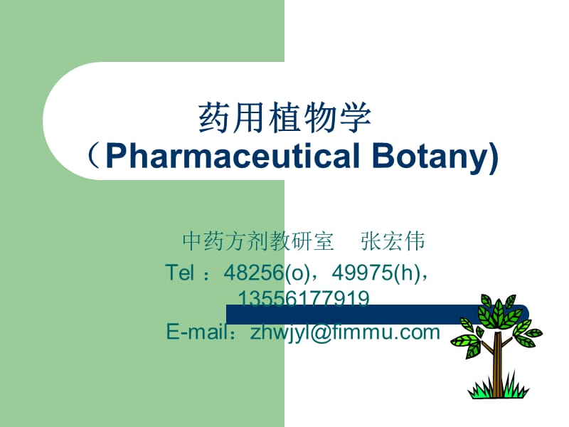 药用植物学PharmaceuticalBotany.ppt_第1页