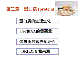食物中的蛋白质介绍.ppt