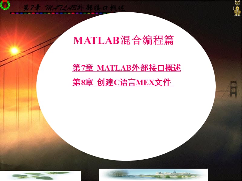 Matlab混合编程7.ppt_第2页