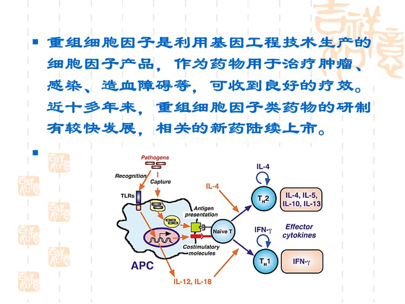 重组细胞因子药物.ppt_第3页