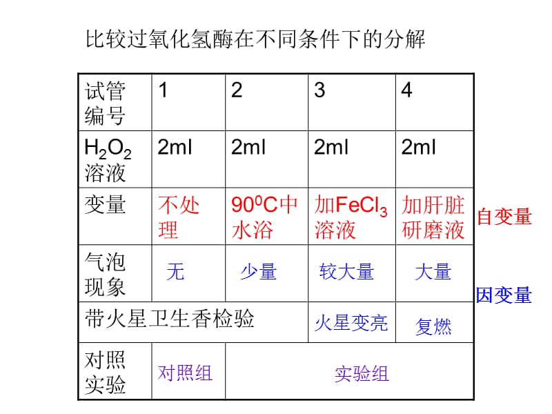 降低化学反应活化能的酶长阳二中刘明.ppt_第3页
