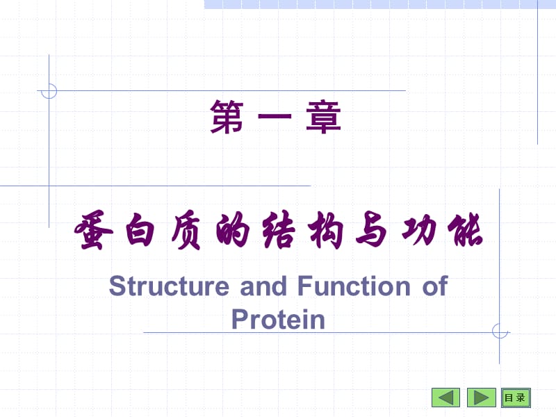 课件蛋白质的结构与功能.ppt_第1页