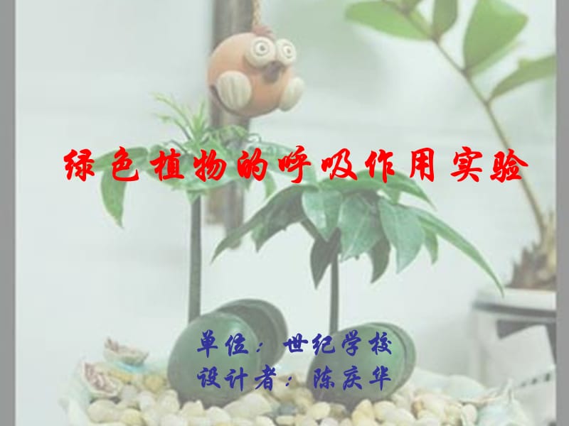 绿色植物的呼吸作用实验单位世纪学校设计者陈庆华.ppt_第2页