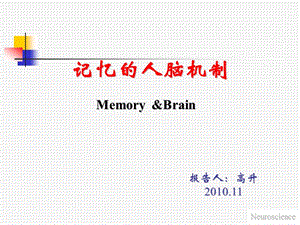 记忆的人脑机制.ppt