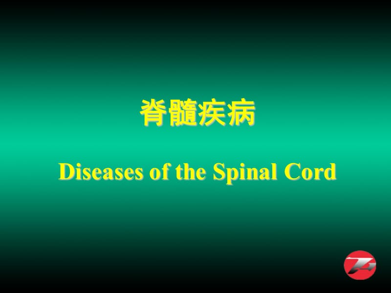 脊髓疾病DiseasesoftheSpinalCord.ppt_第1页