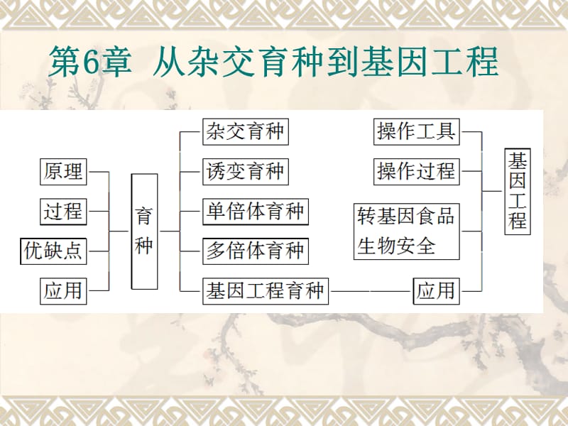 期末复习6--从杂交育种到基因工程1.ppt_第1页