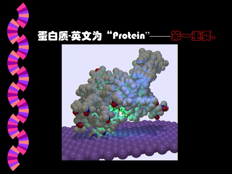 第一蛋白质的结构与功能.ppt_第3页