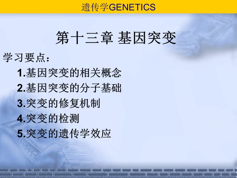 第十三部分基因突变教学课件.ppt_第1页