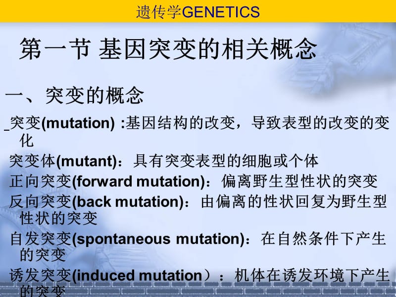 第十三部分基因突变教学课件.ppt_第2页