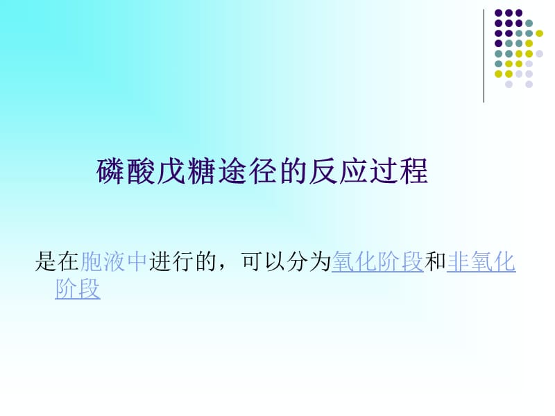 磷酸戊糖途径.ppt_第2页