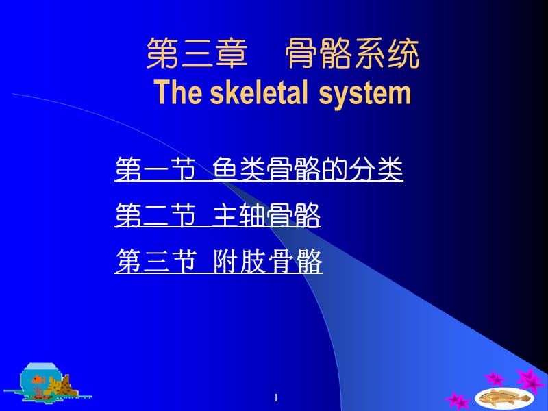 第三章骨骼系统Theskeletalsystem.ppt_第1页