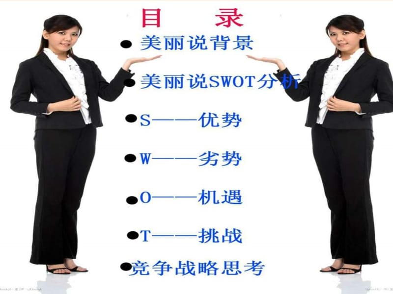 美丽说SWOT分析_图文.ppt.ppt_第2页