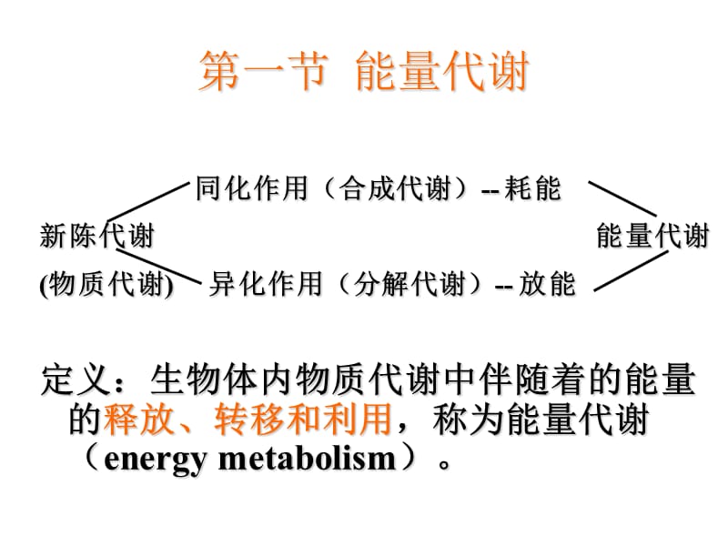 能量代谢与体温jianhua.ppt_第3页