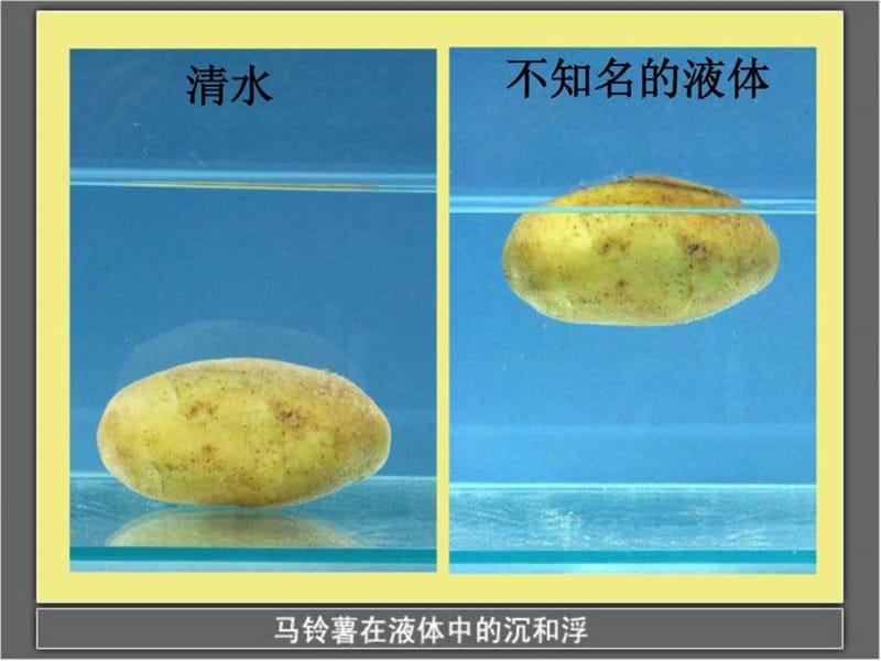 五年级科学下1.7 马铃薯在液体中的沉浮.ppt_第2页