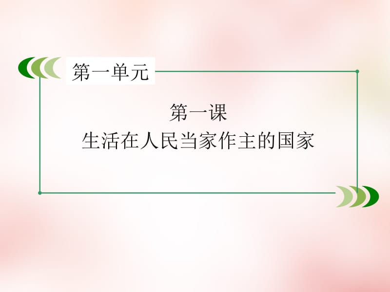 生活在人民当家作主的国家.ppt_第2页