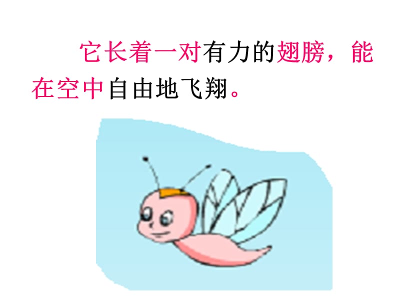 蜗牛的奖杯(王华珠).ppt_第2页