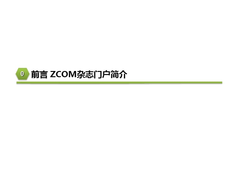 ZCOM电子杂志发行平台介绍V2.5.ppt_第2页