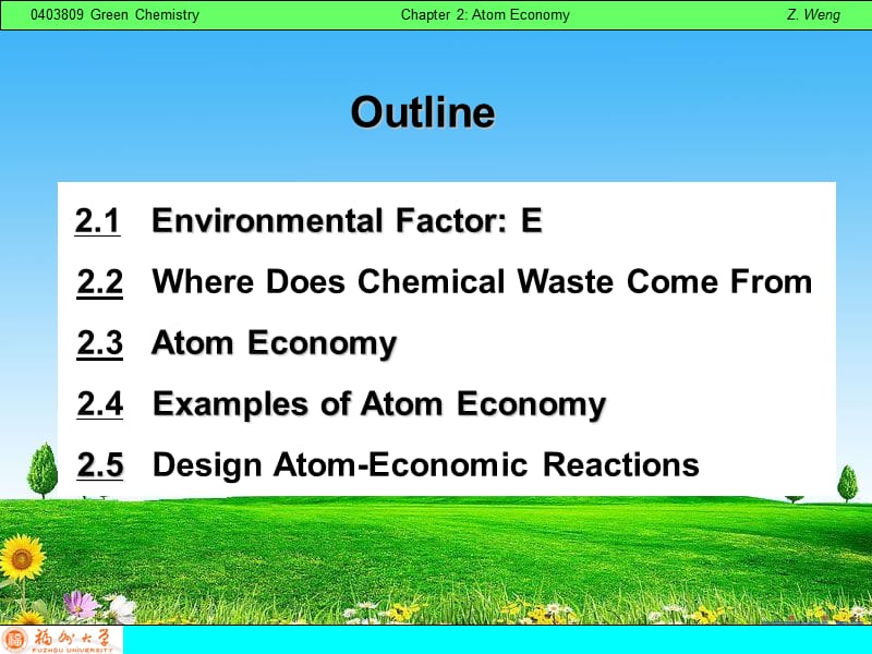 绿色化学教材课件Ch2.ppt_第2页