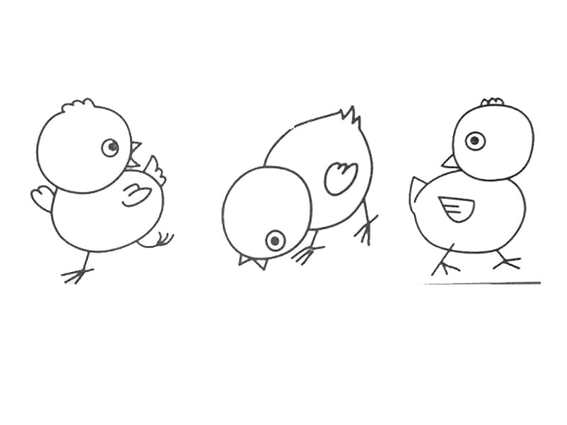 小班美术活动课件：可爱的小鸡.ppt_第3页