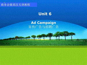 unit 6 Ad Campaign 宣传广告与招聘广告.ppt