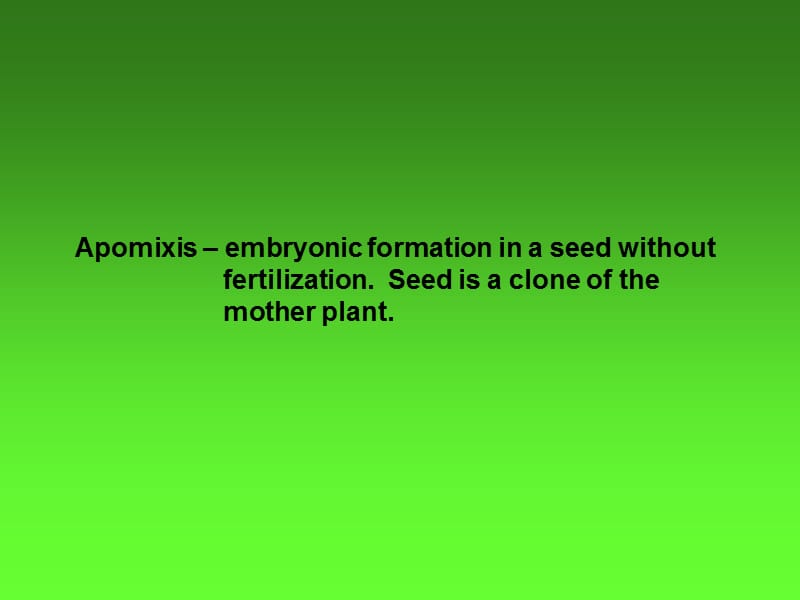 Vegetative (asexual) plant propagation methods繁殖（无性）植物的繁殖方法.ppt_第3页